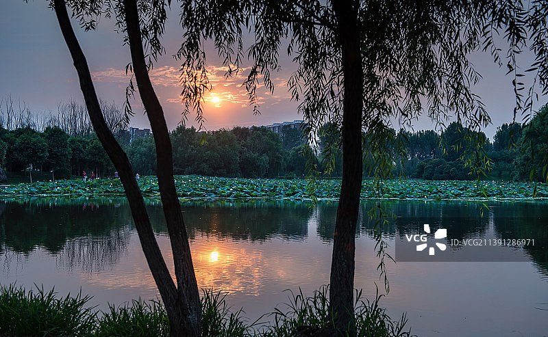 河南省焦作市孟州市  城市 公园图片素材