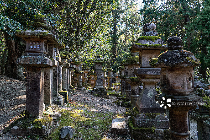 奈良公园里的石灯笼图片素材