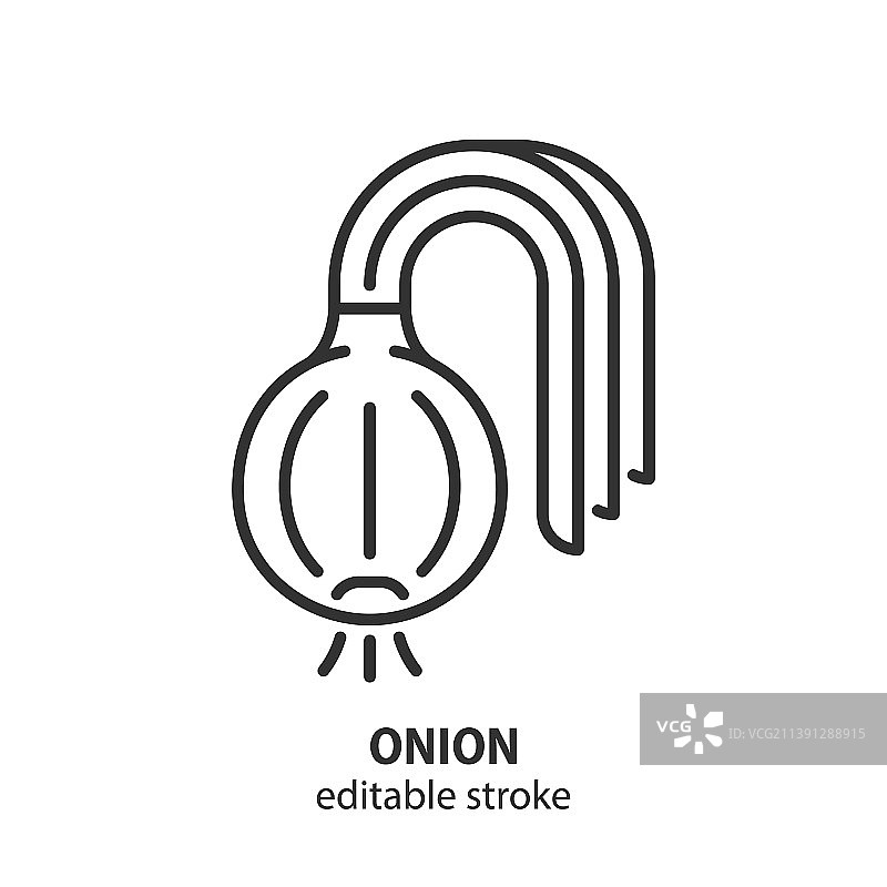 洋葱球茎线条图标蔬菜标志图片素材