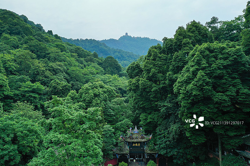 植被茂盛的青城山+四川省成都市都江堰市青城山旅游区图片素材