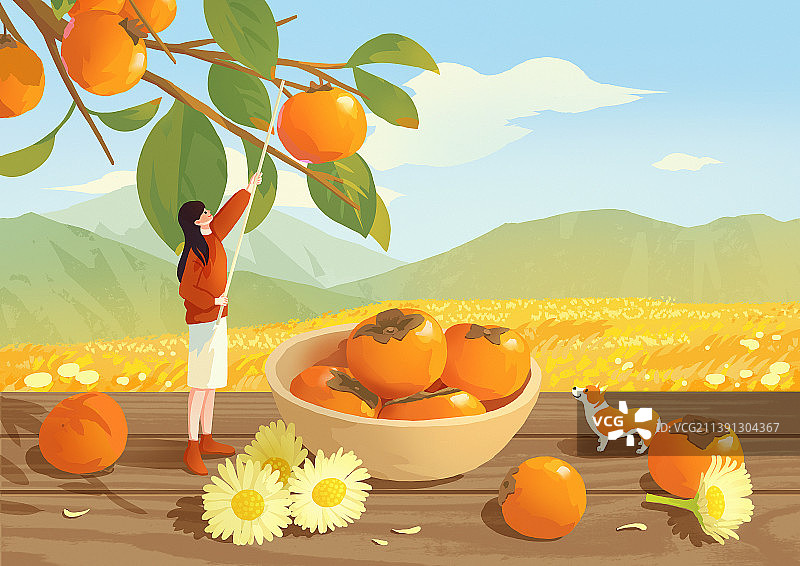 二十四节气之女孩和狗霜降摘柿子山景图片素材