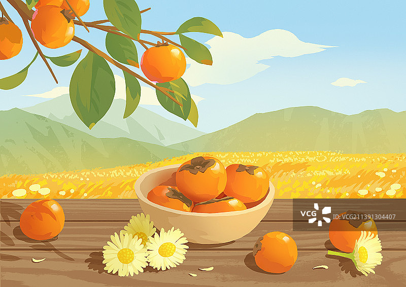 二十四节气霜降柿子菊花山景图片素材