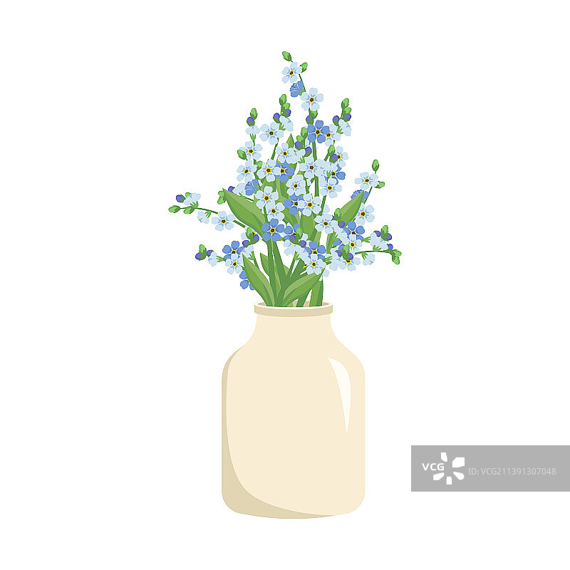 可爱的勿忘我小蓝花图片素材