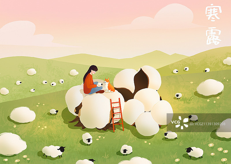 二十四节气之女孩和狗寒露摘棉花田野绵羊风景图片素材