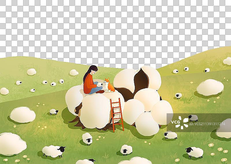 二十四节气女孩和狗寒露摘棉花田野绵羊风景图片素材