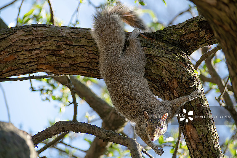 美国马塞诸塞州剑桥查尔斯河图片素材