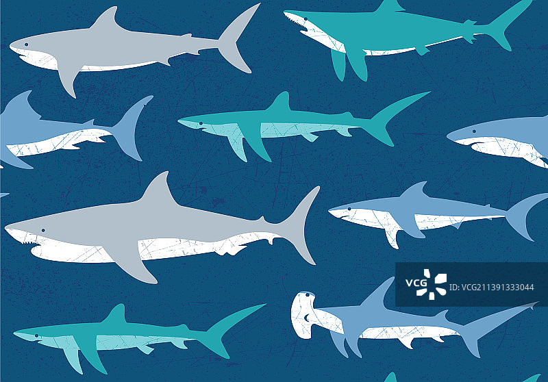 鲨鱼海洋无缝图案图片素材
