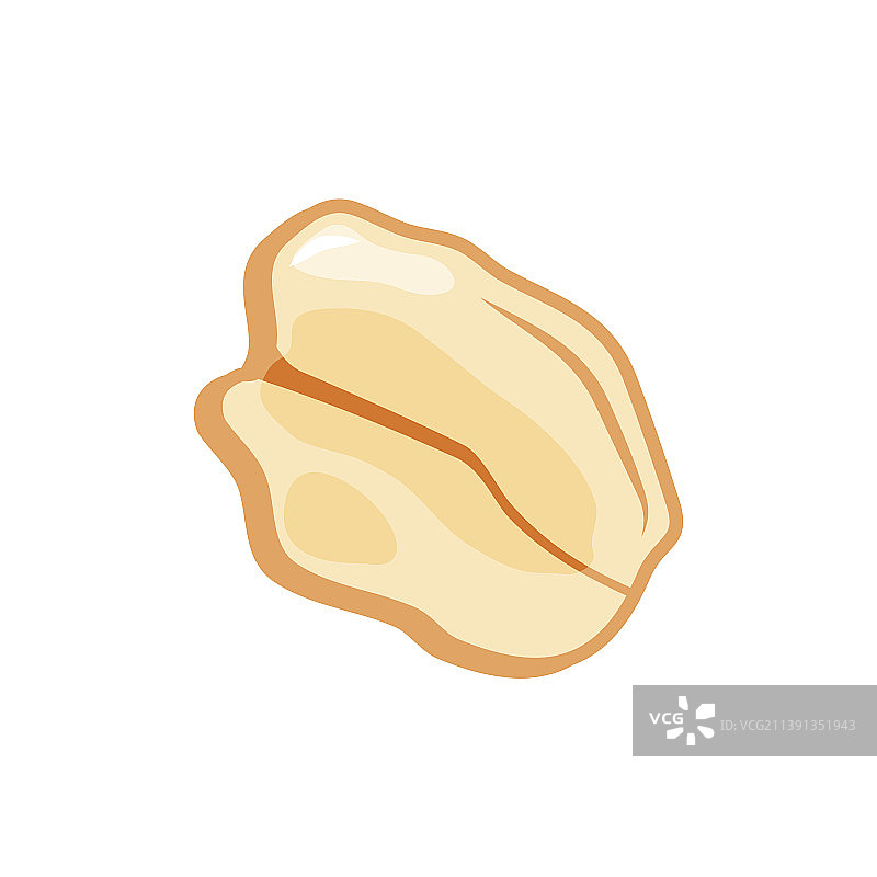 白色背景上的燕麦粒图片素材