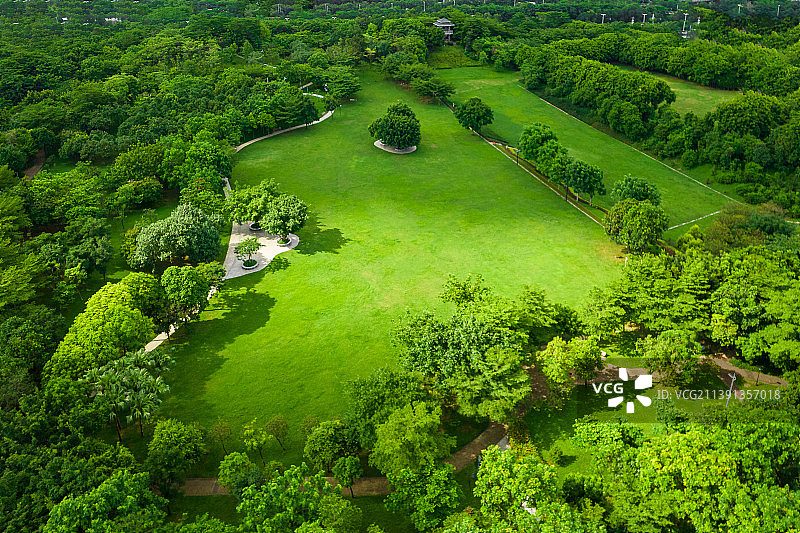 深圳南山大沙河高尔夫区域全景航拍图片素材