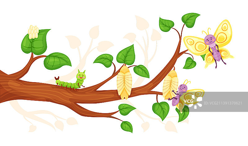 卡通蝴蝶生命周期：卵、幼虫、蛹图片素材