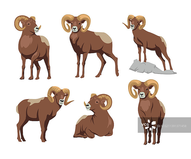 不同姿势的棕色大角羊卡通形象图片素材