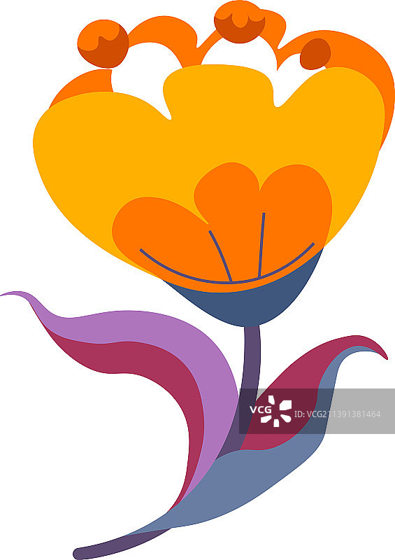 盛开的橙色花朵图片素材