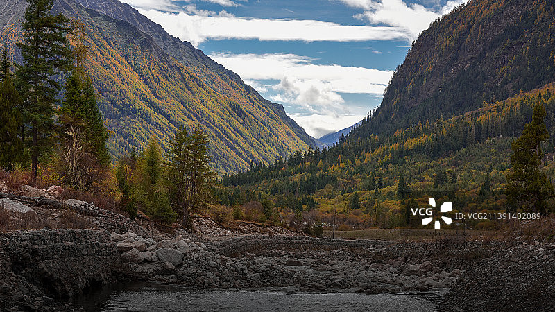 大熊猫国家公园图片素材