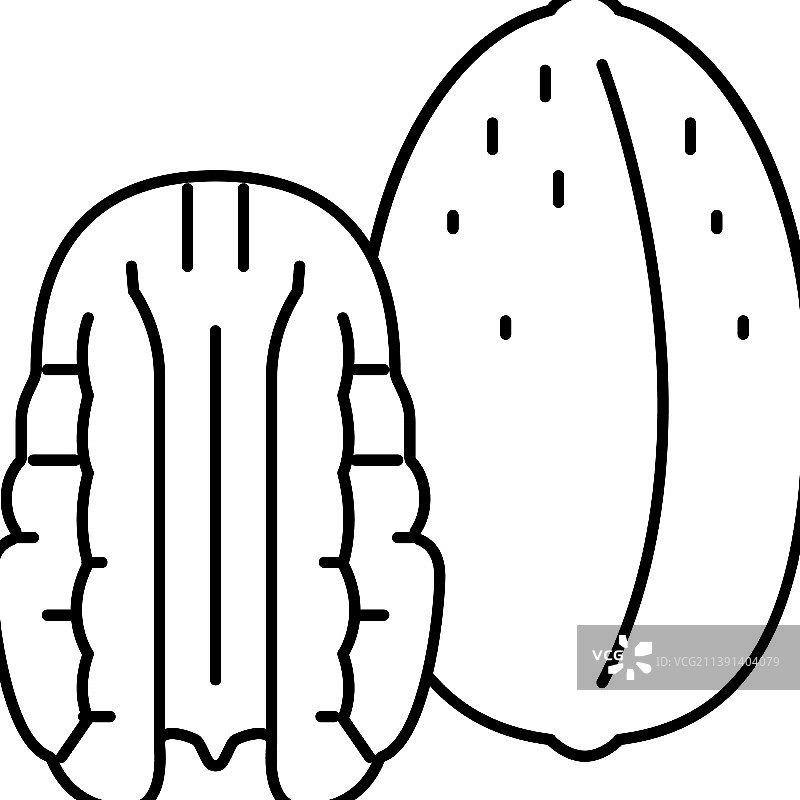 山核桃线性图标图片素材