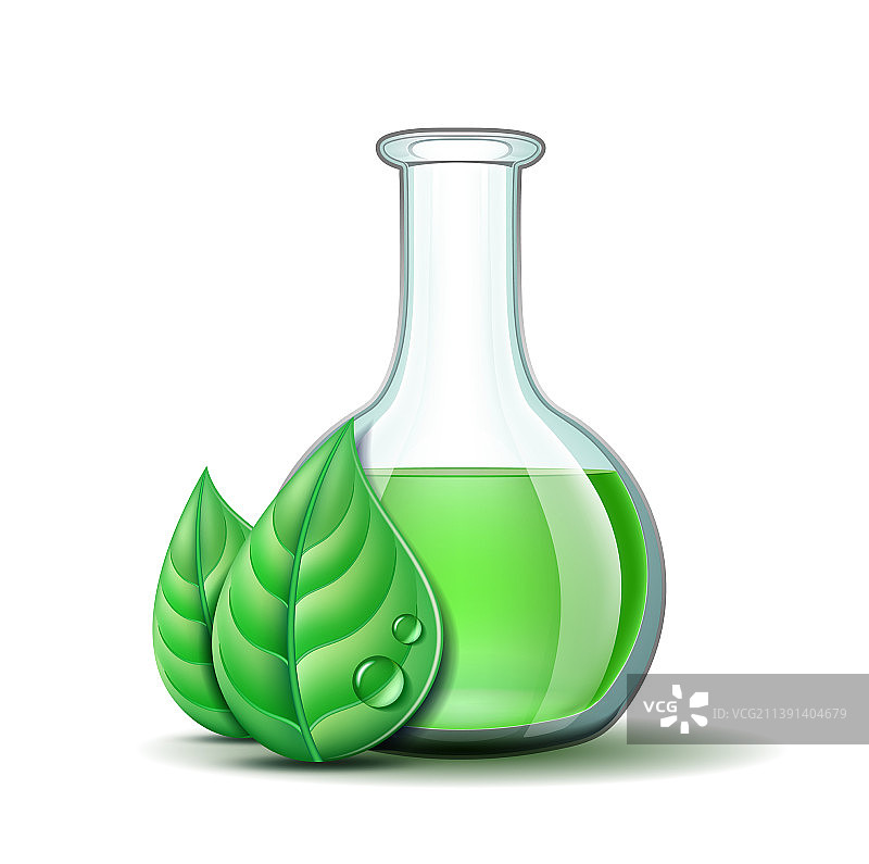 绿色自然叶子和烧瓶模板图片素材