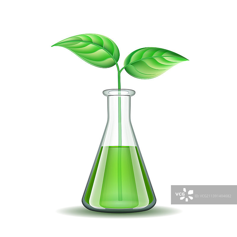 转基因幼苗生物技术图片素材