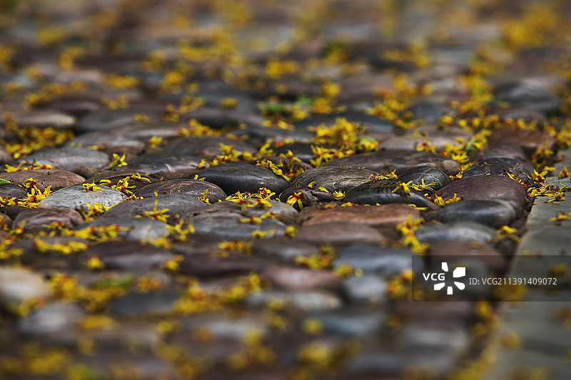 夏日雨后的石子路图片素材