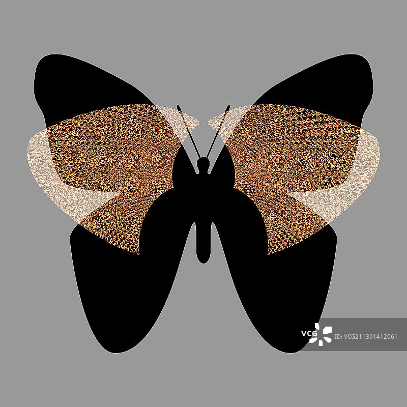 创意三彩蝶图片素材