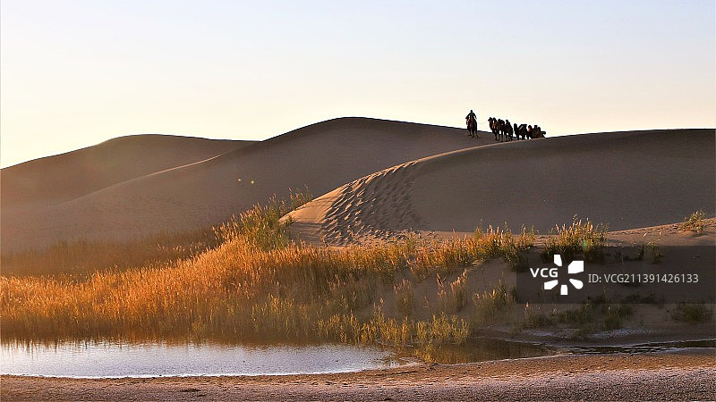 巴丹吉林沙漠夕照驼影图片素材