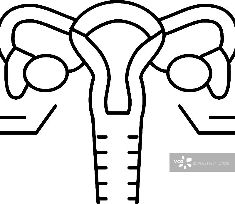 卵巢内分泌线性图标图片素材