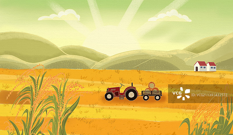 稻谷包装图片素材