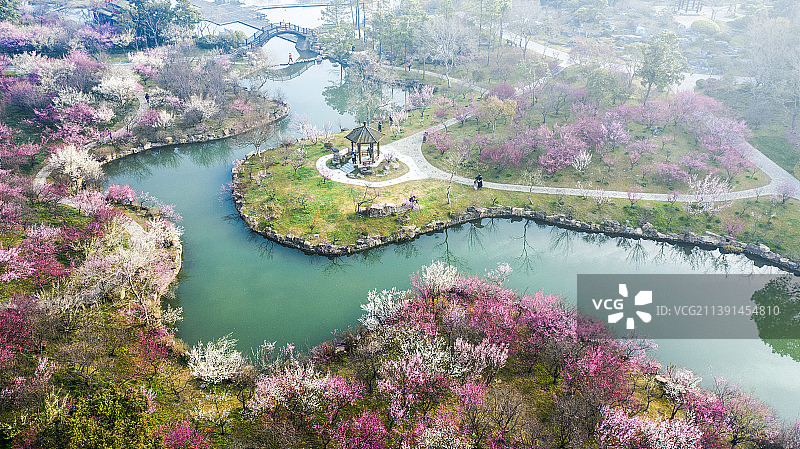 湖上梅林，瘦西湖春色图片素材