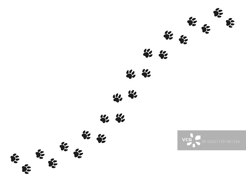 猫爪脚印动物爪子剪影图片素材