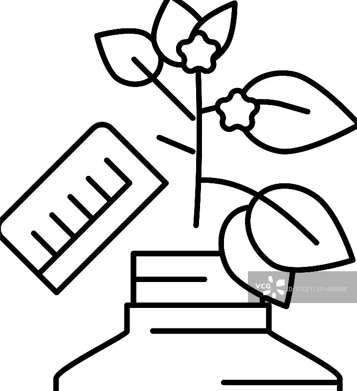 顺势疗法植物生长线性图标图片素材