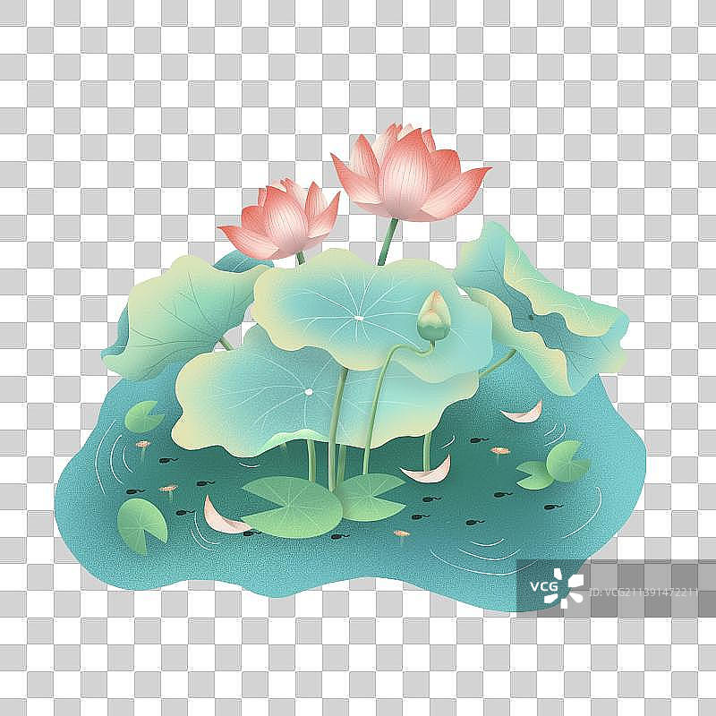 新中式夏至荷花荷叶小池塘素材图片素材