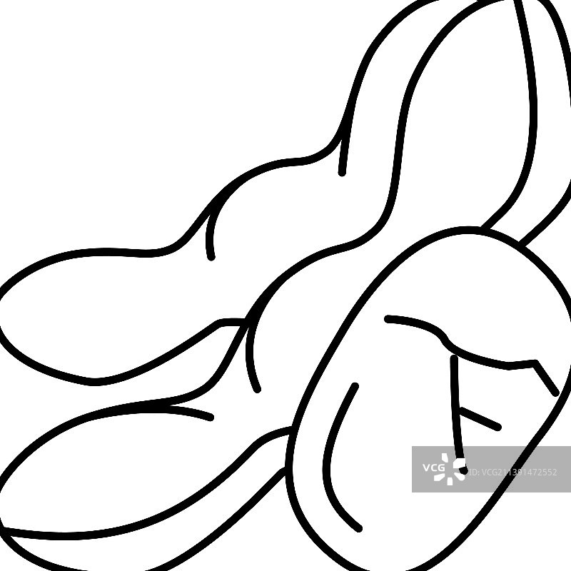 大豆坚果线性图标图片素材