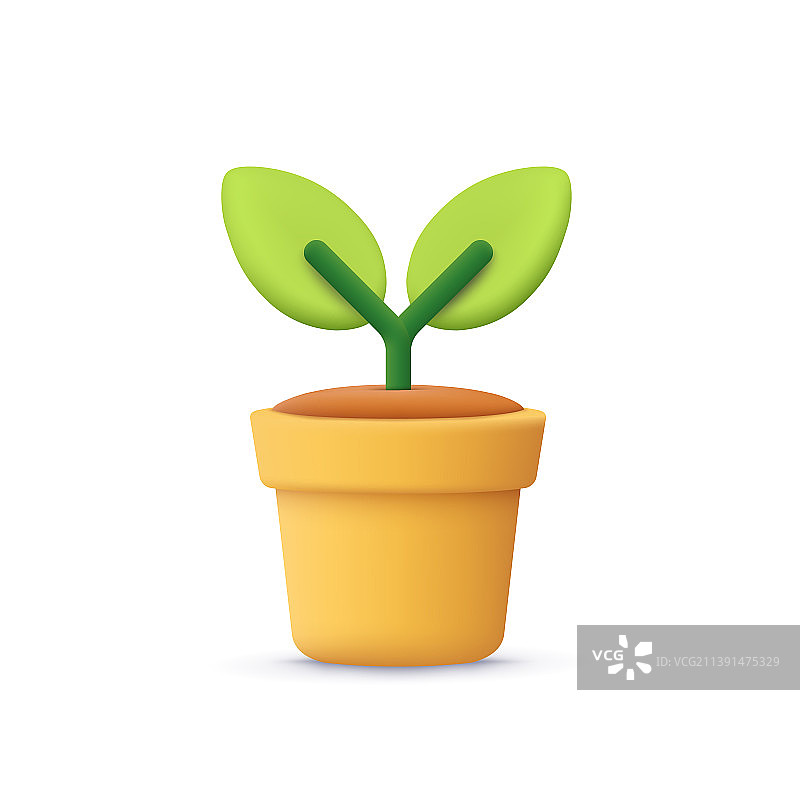 盆栽绿植图片素材