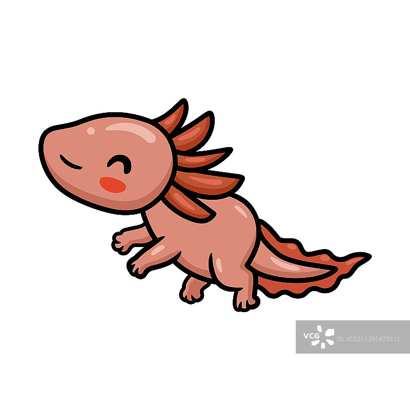 可爱的墨西哥钝口螈卡通图片素材