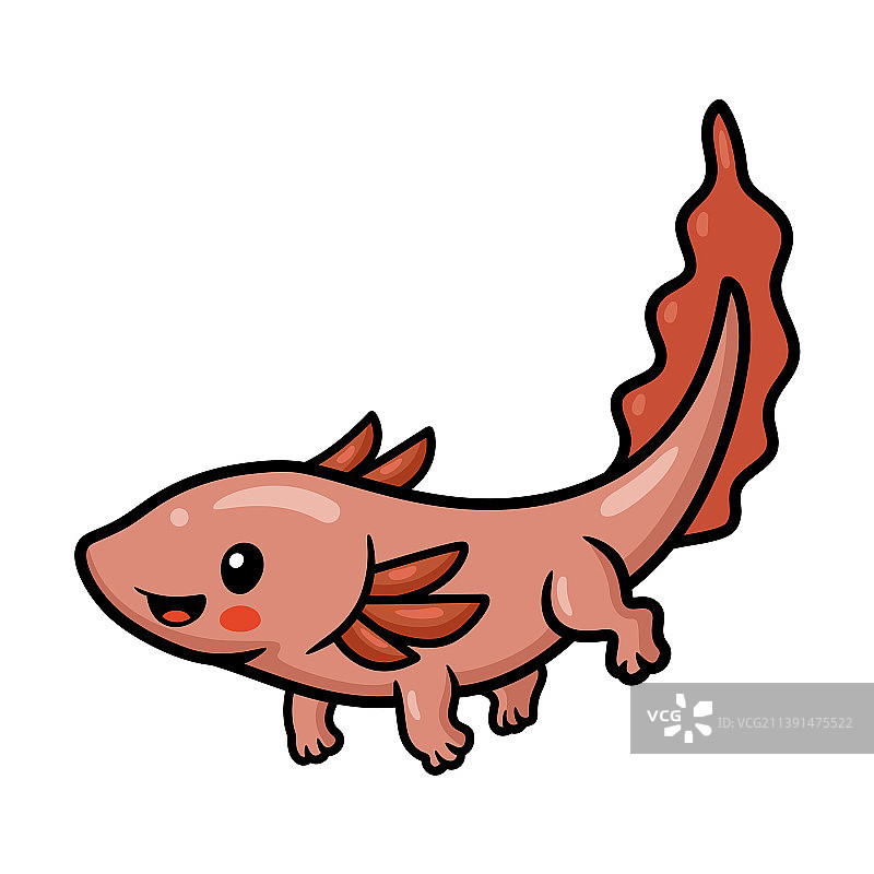 可爱的墨西哥钝口螈卡通图片素材