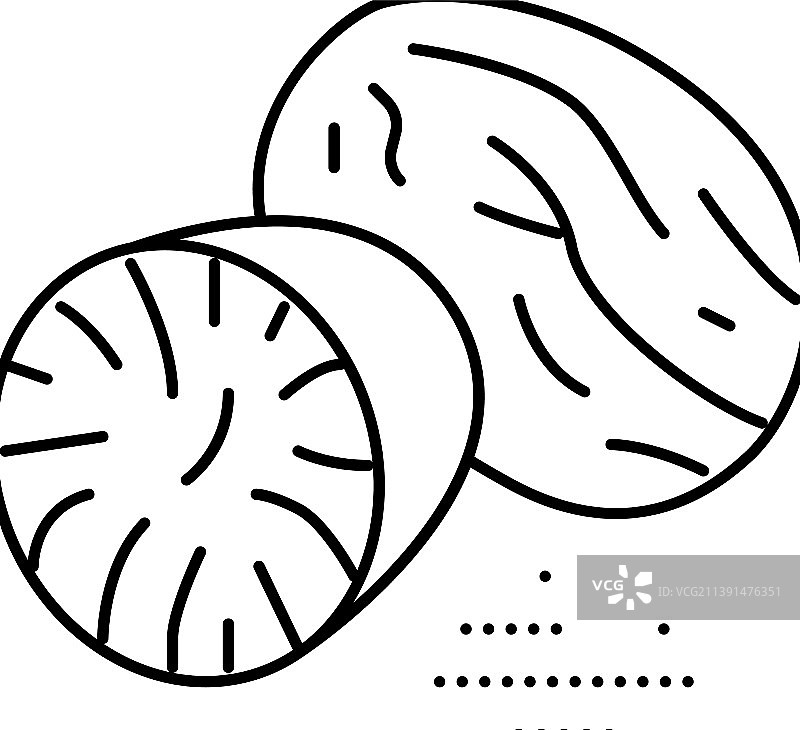 肉豆蔻坚果线条图标图片素材
