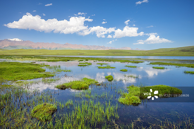 青藏高原湿地自然风光图片素材