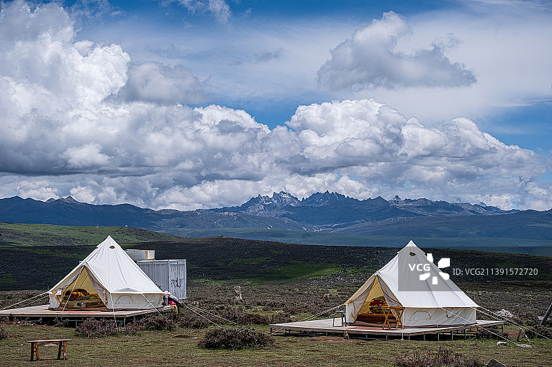 鱼子西图片素材
