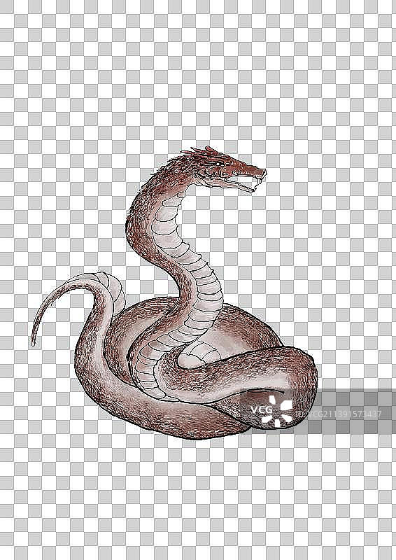 神兽 蛇图片素材