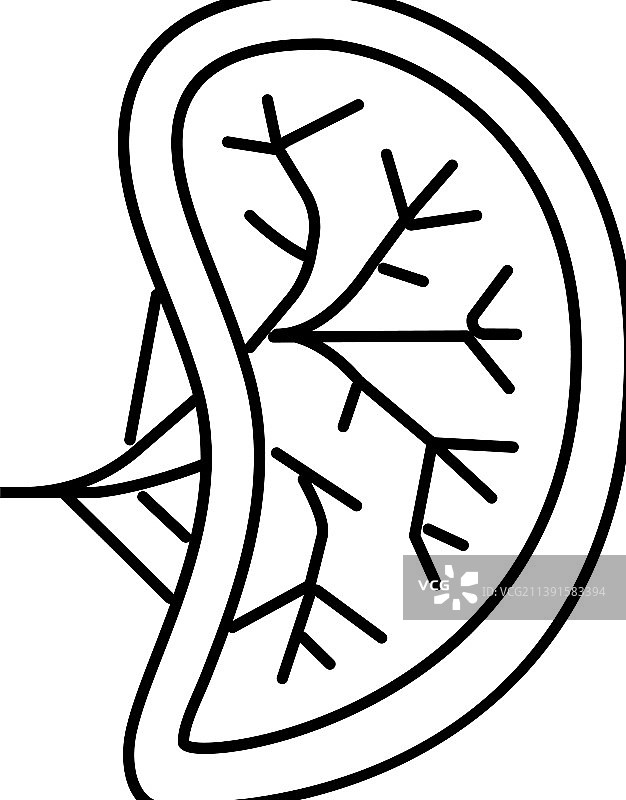 脾脏人体器官线性图标图片素材