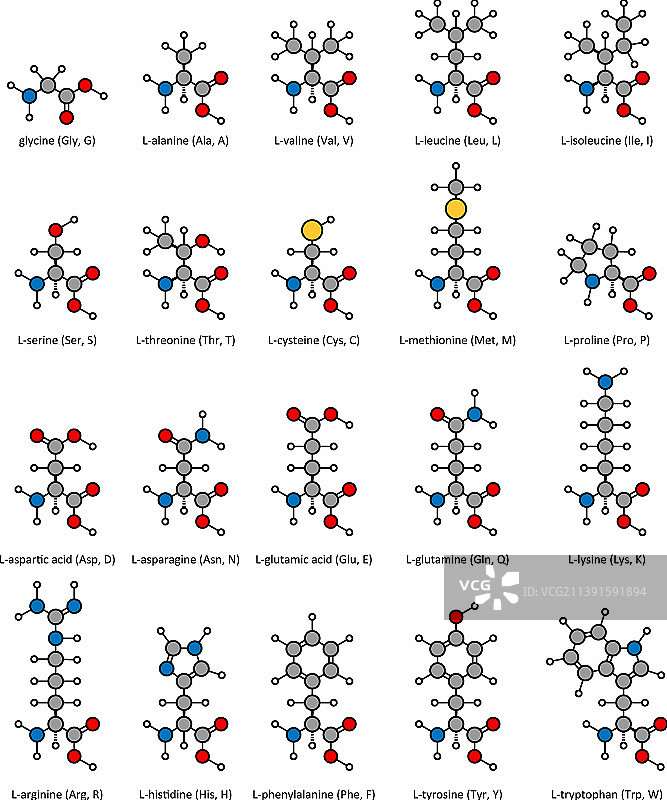 氨基酸化学结构甘氨酸丙氨酸图片素材