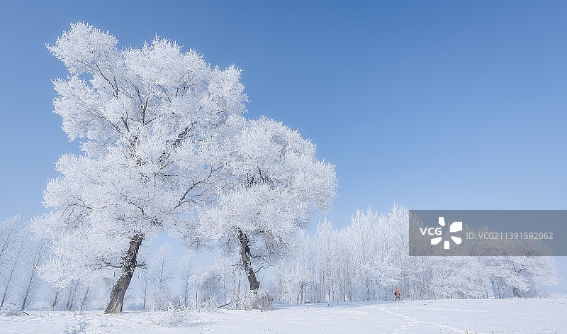 雾凇岛图片素材