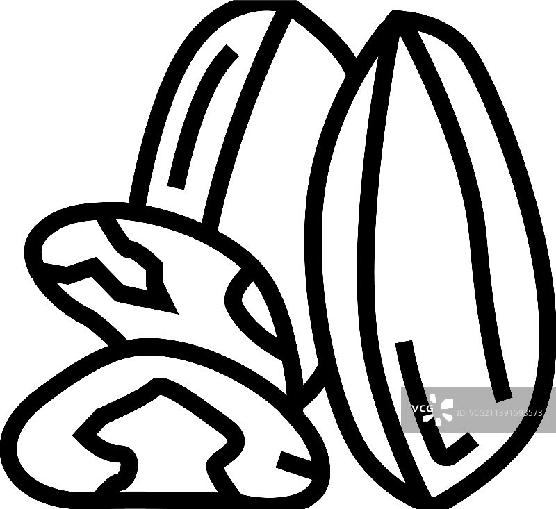 巴西坚果线性图标图片素材