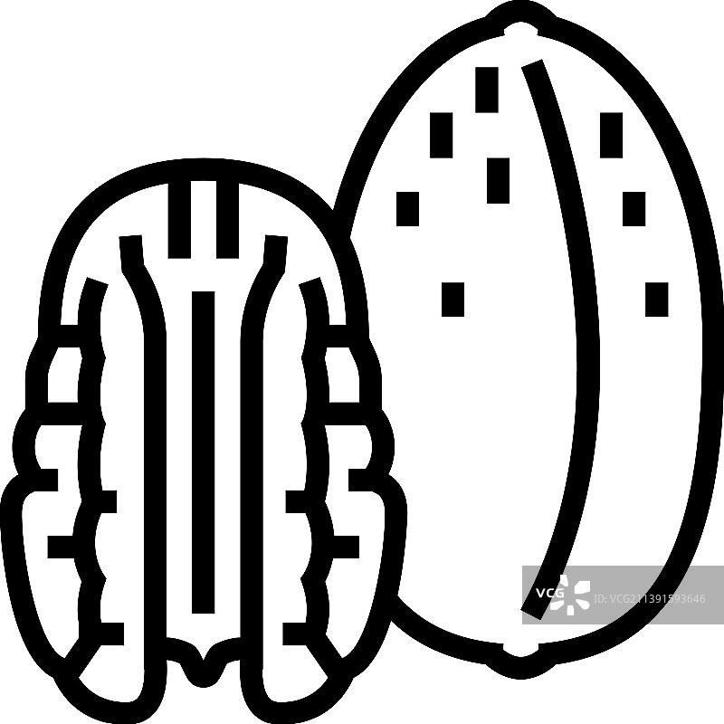 山核桃线性图标图片素材