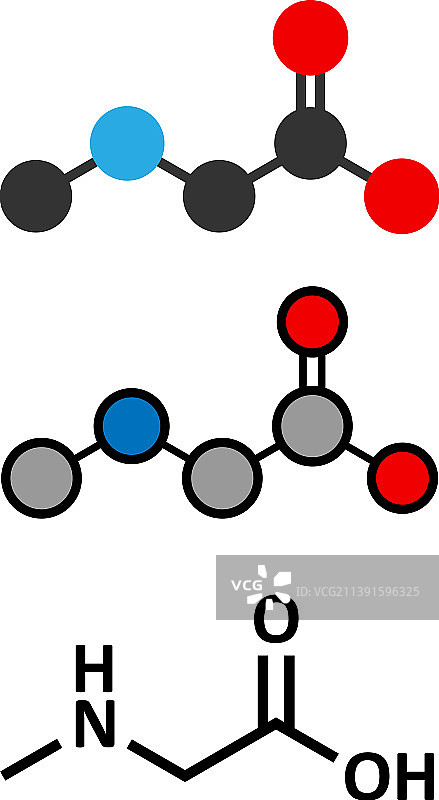 肌氨酸N-甲基甘氨酸分子2D风格化图片素材