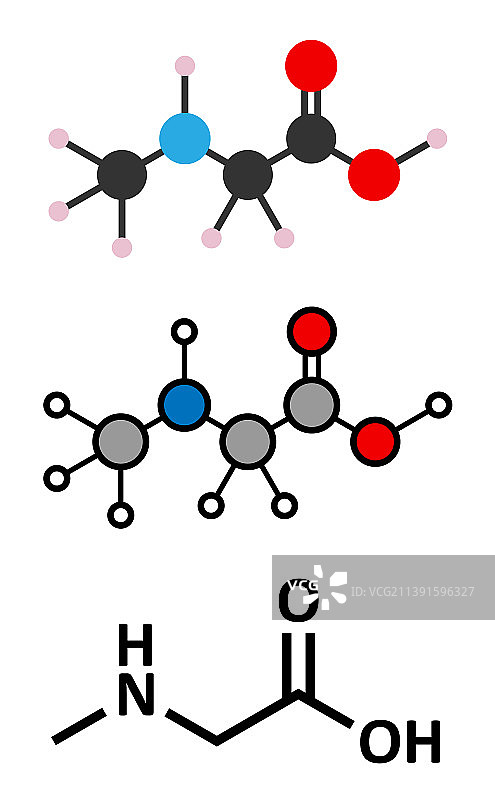 肌氨酸N-甲基甘氨酸分子2D风格化图片素材