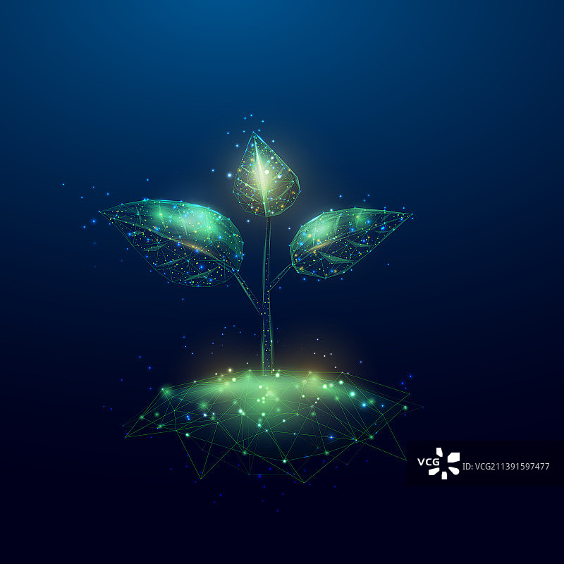 低多边形线框中的植物嫩芽图片素材