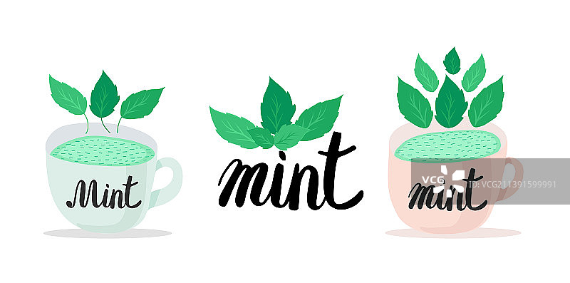 薄荷枝条花环茶，白色背景图片素材