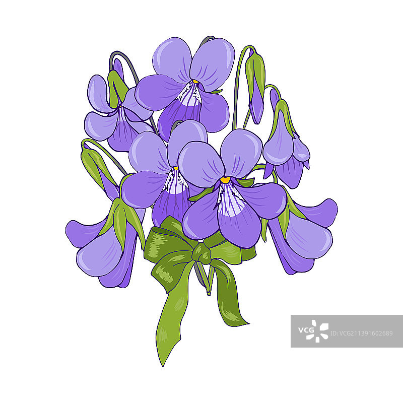 带绿色蝴蝶结的森林紫罗兰花束图片素材