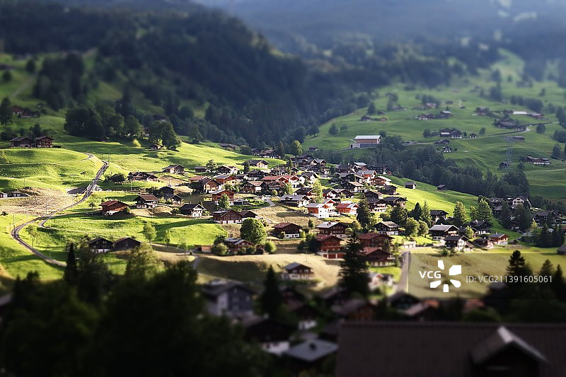 树木和建筑物的高角度视图图片素材