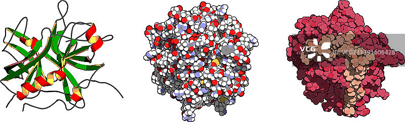 凝血酶图片素材