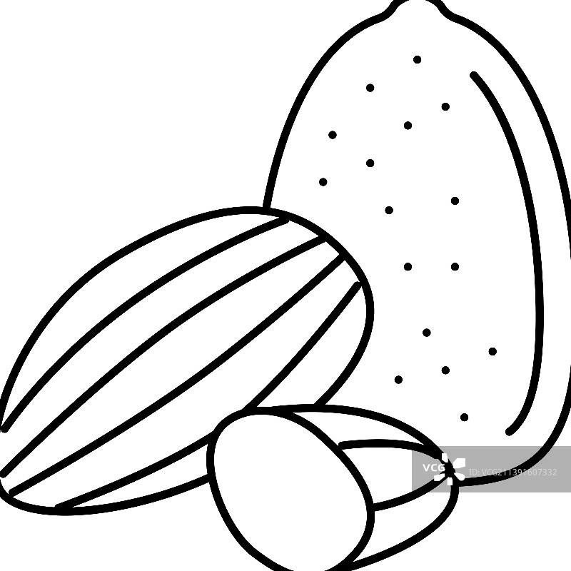 杏仁坚果线条图标图片素材